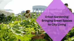 Urban Gardening Bringing Green Spaces to City Living